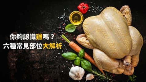 雞肋部位|你夠認識雞嗎？雞肉六種部位大解析